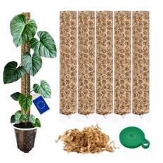 Växtstöd Jula, Mosspåle för Monstera Trellis Accessoarsset för Växter - 5 x Blomstöd, Stödpinne, Växtkardborre & Mossa - Optimerade för Kallaväxter - Klätterväxttillbehör - 35 x 6 cm - Set