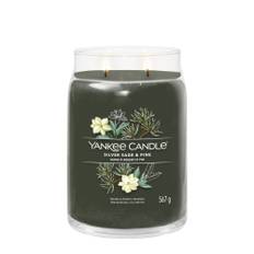 Candela Silver Sage Pine Giara Signature Grande 567 gr