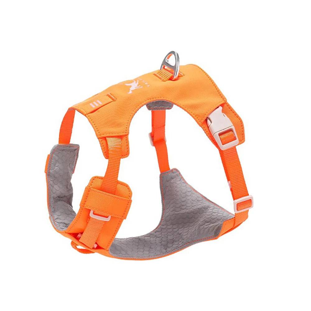 Anti-Pull Escape-Proof Dog Harness & Leash Set | Lightweight | XS–XL | 14 Colours - Orange / XS (XS)