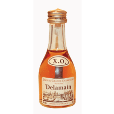 Cognac - Delamain Pale and Dry XO - 5 cl.