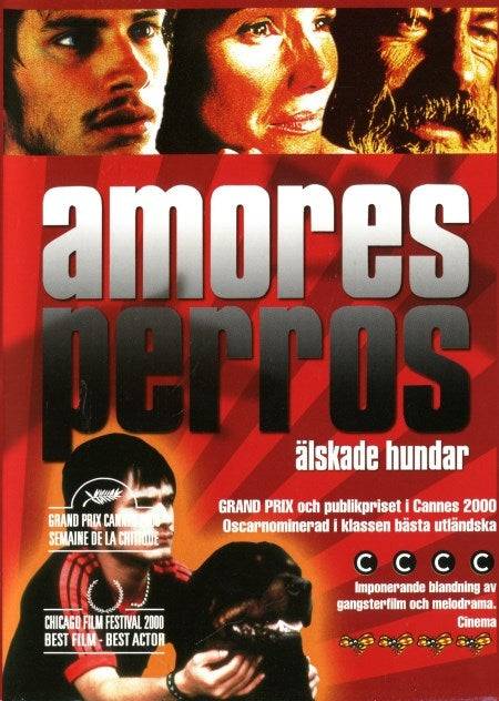 DVD - Amores Perros (Älskade hundar) (Beg)