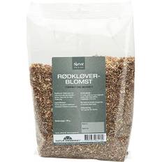 Rødkløverblomst