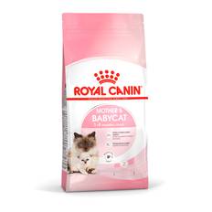 Kitten Mother & Babycat - 4 kg