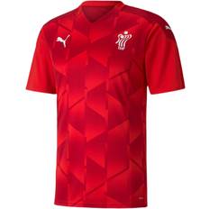 Puma - DHF kids T-shirt - 116  - Rød