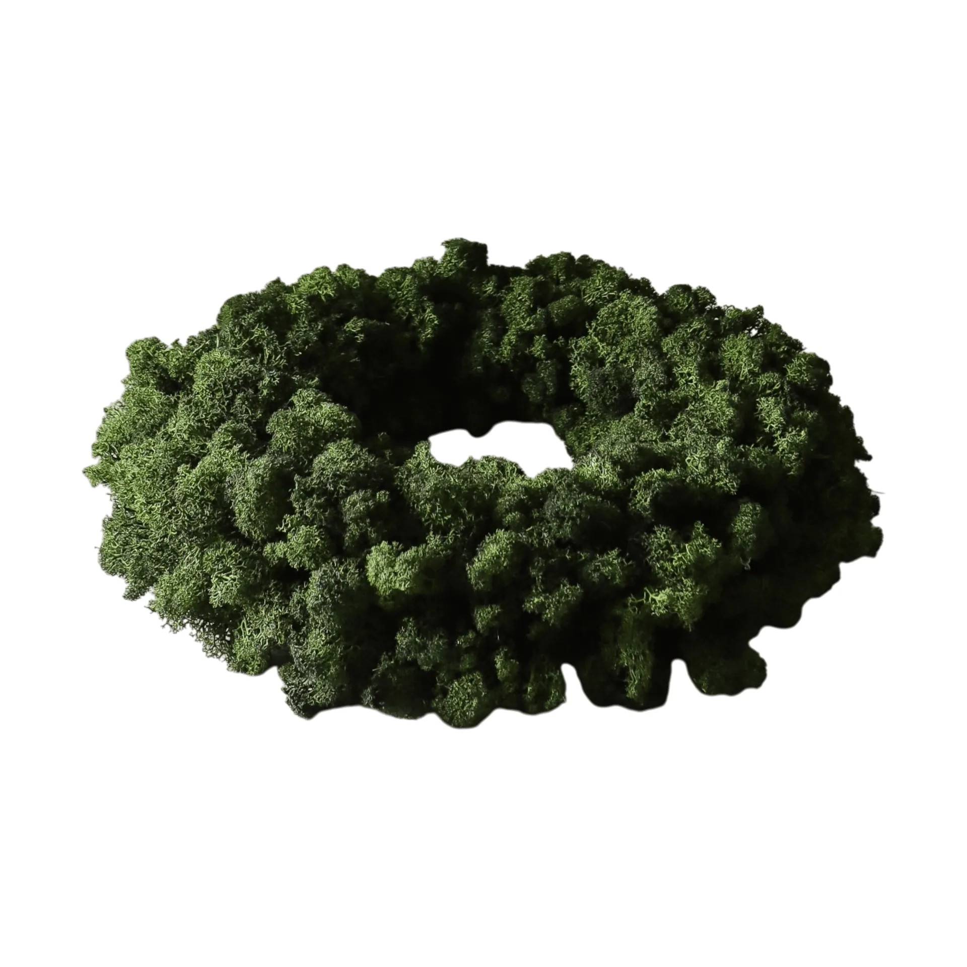 Botané Moss Wreath mosskrans Green, Ø40 cm