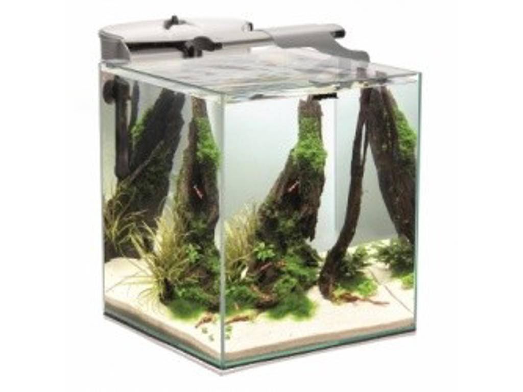 Aquael Rejeakvarie Set Duo 49 Ltr. – Sort (komplet akvariesæt til rejer).