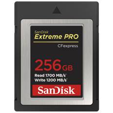 SanDisk CFexpress Extreme Pro 1700MB / s - 256 gb