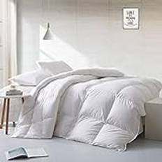 APSMILE Lätt duntäcke, sommarfilt 240 x 260 cm, hotellkollektion, täcke med gåsdun och gåsfjädrar, täcke för varmt väder/varm sömn (240 x 260 cm, vit)