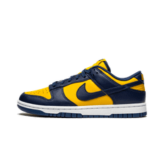 Nike Dunk Low Michigan 41