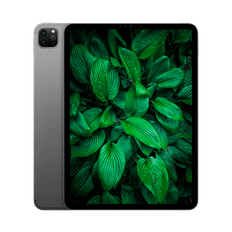 iPad Pro 3.Gen (2021) 11" WiFi