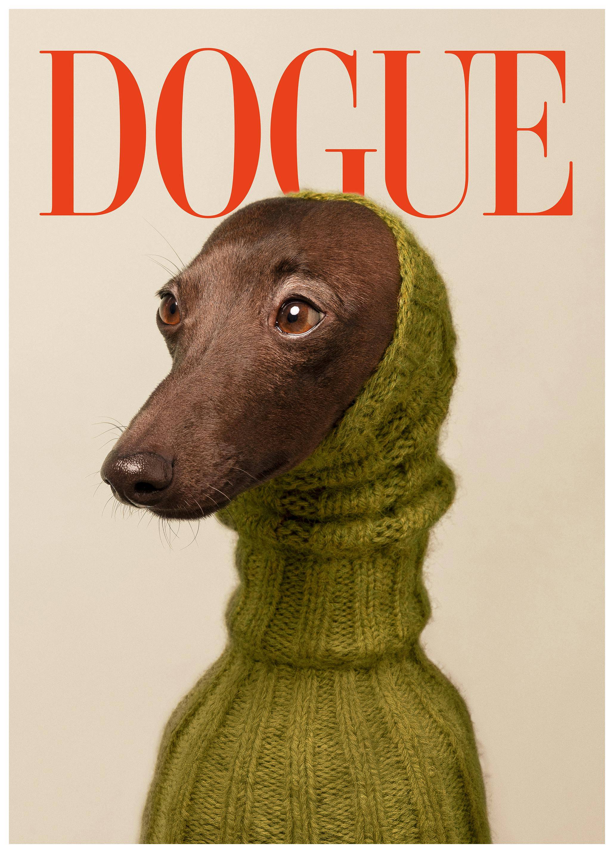 Dogue No2 Poster (50x70 cm)