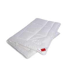Hefel Klima Control Dyne