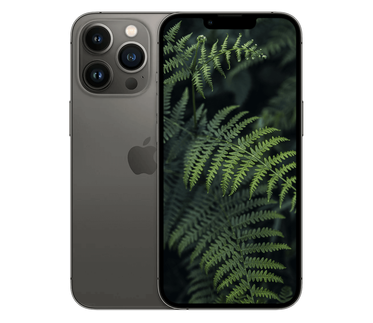 iPhone 13 Pro
