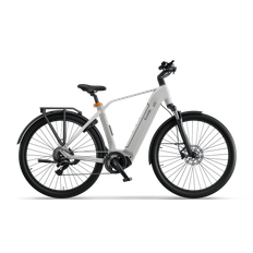 Ecoride Tripper 4 c668 elcykel