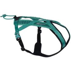 Non-stop dogwear Rush harness Teal (6)