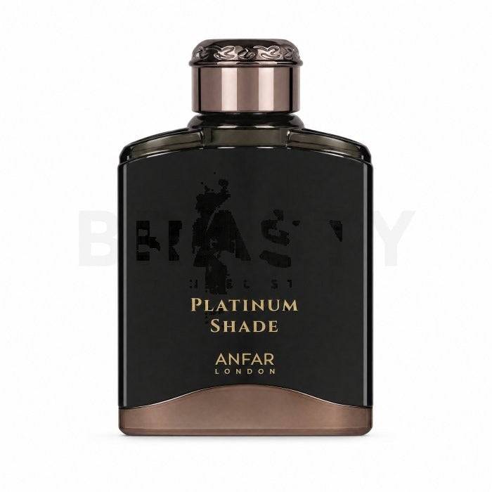 Anfar Platinum Shade Uomo 100 ml — Eau de Parfum