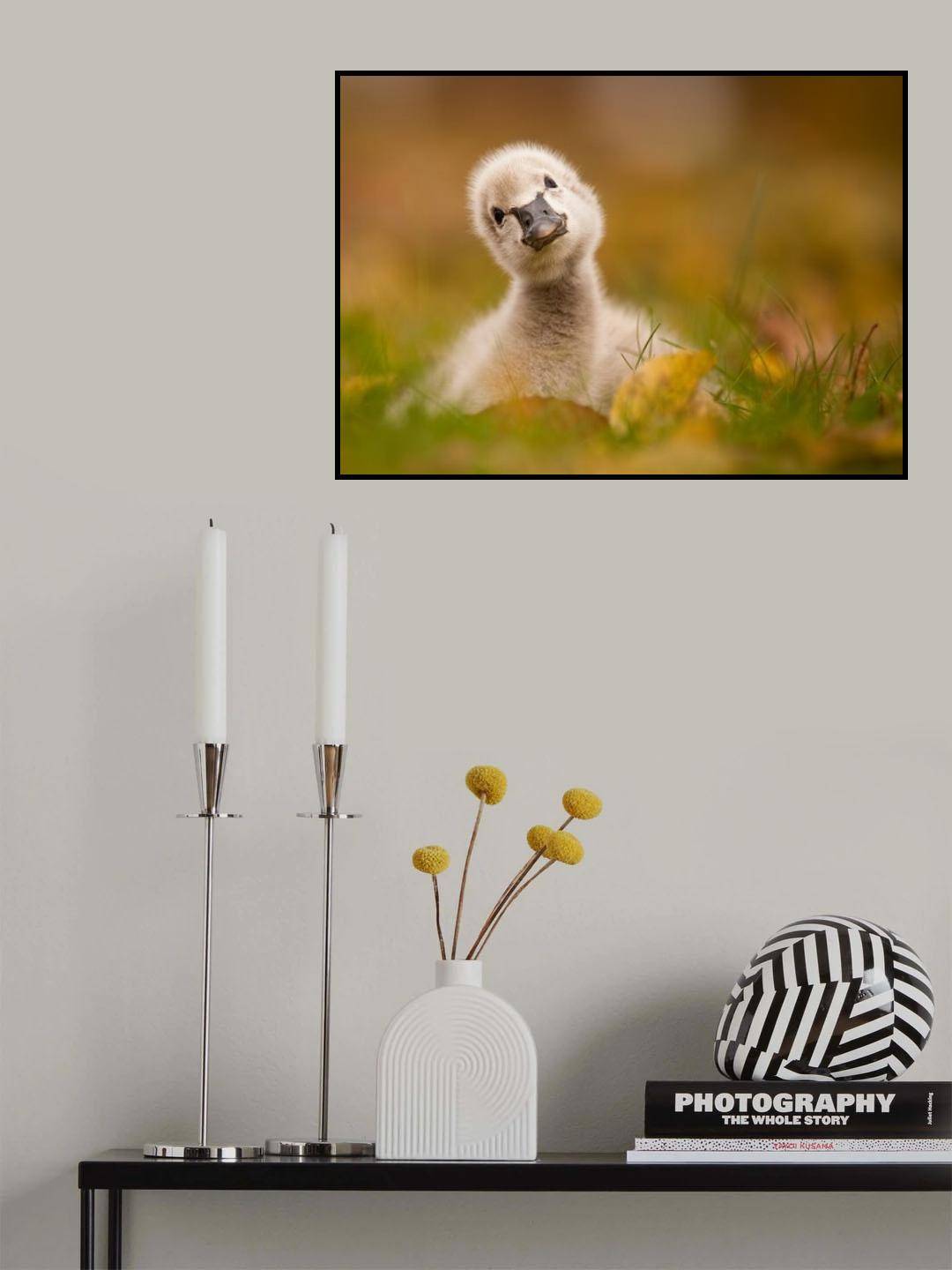 Black Swan Baby Poster och Canvastavla - Poster / 40x30 cm