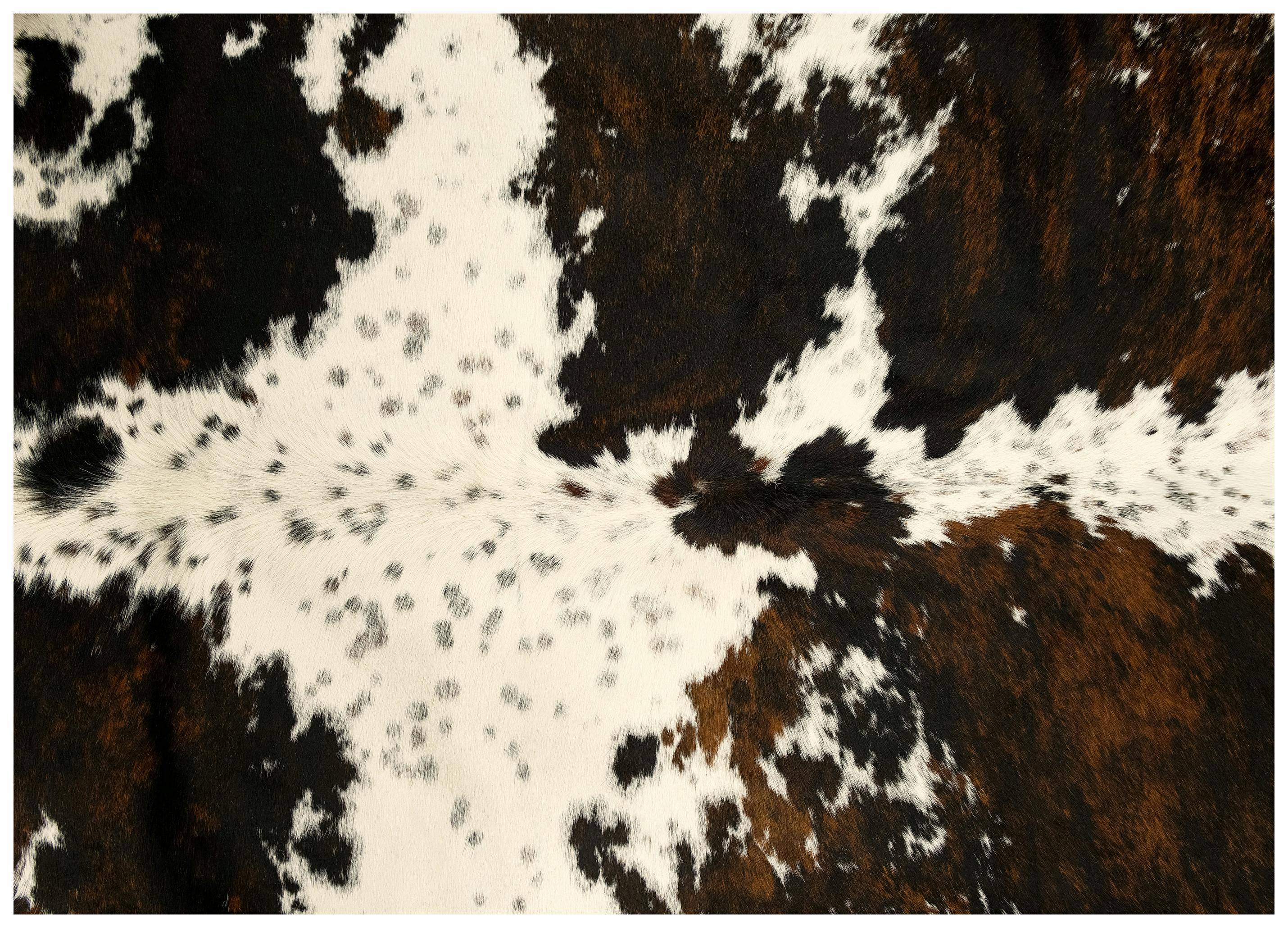 Cowhide Poster (100x150 cm)