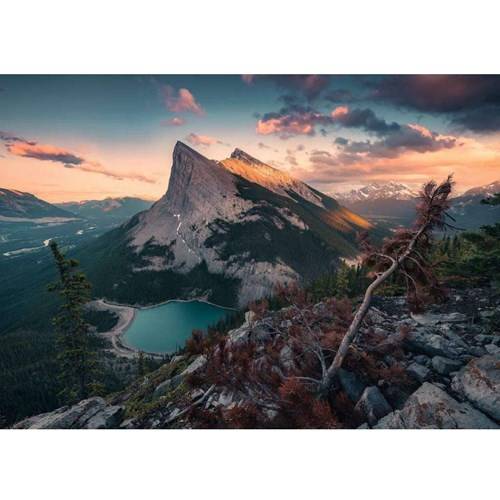 1000 bitar - Wild Nature