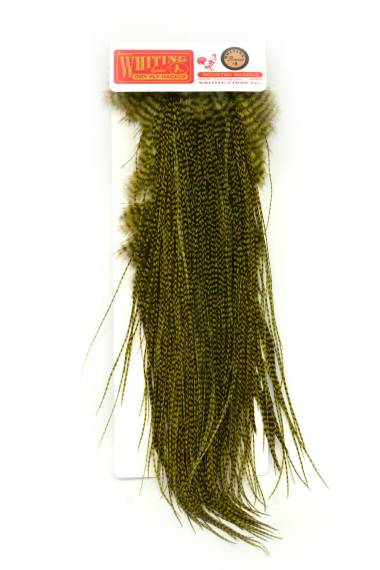 Whiting Bronze Saddle Grizzly dyed Olive
