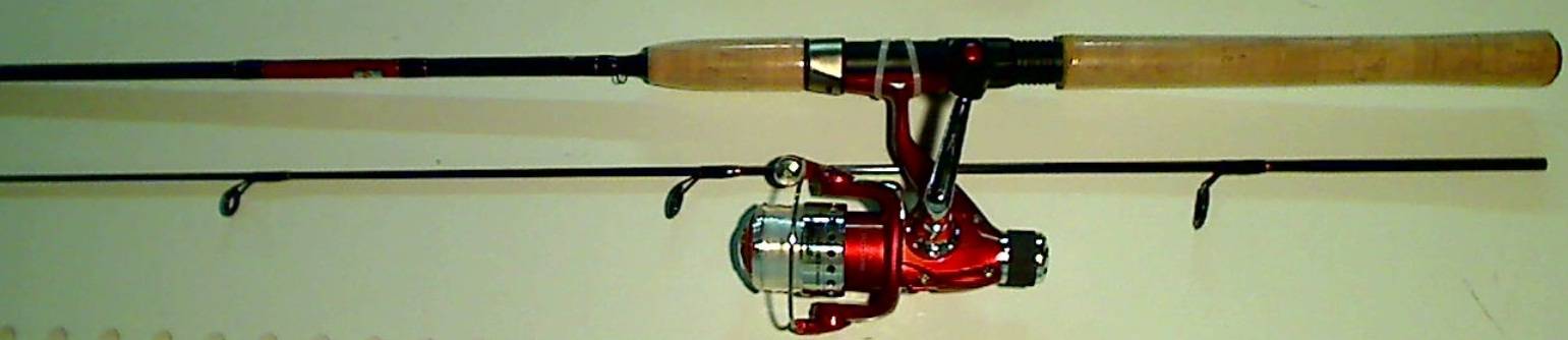 ABU Intruder 9 ft 240cm 10-40g