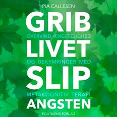 Grib livet - Slip angsten - E-lydbog