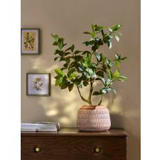 Next Green Artificial Tree in Terracotta Pot