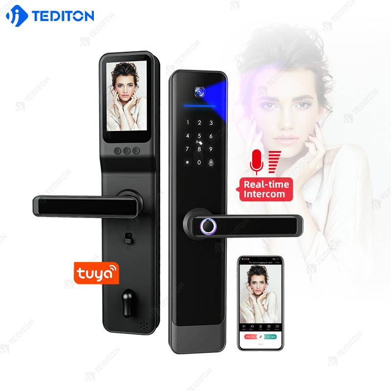 Tediton Electric Handle Lock Tuya Smart Home Door Lock Smartlock Smart Door Lock With Camera And Fingerprint