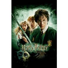 Konsttryck Harry Potter - Hemligheternas Kammare, 26.7 × 40 cm