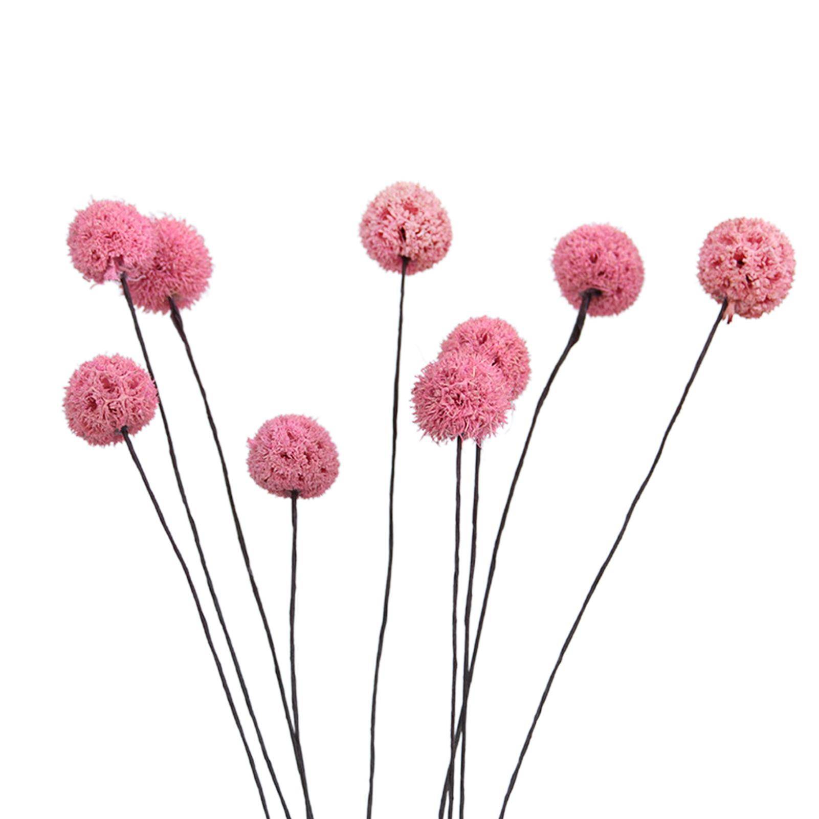 Billybollsblommor Torkade blommor Konstgjorda torkade blommor Hem Trädgårdsdekoration