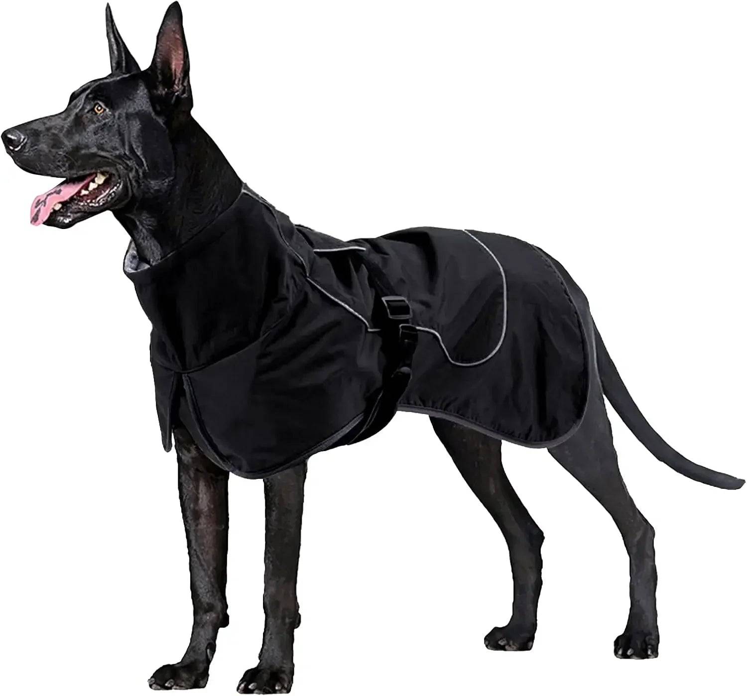 Waterproof Dog Raincoat with Fleece Lining - Black / XL (XL)