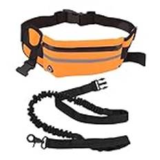 Liberate Hands Dog koppel midjeväska hund koppel nylon bungee koppel paket för nattlöpning promenader (orange)