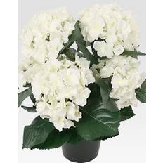 Hortensia 35 cm, vit - Vit