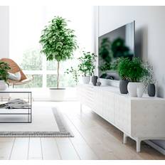 Vit art déco Väggklistermärken linjer
