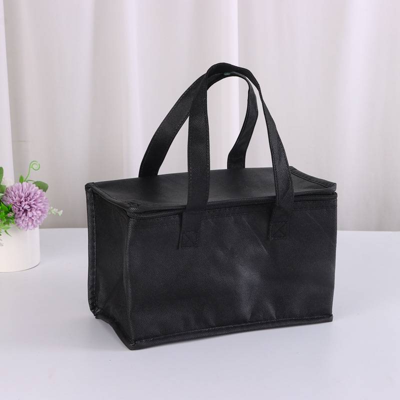TEMU Insulated Cooler Bag, Collapsible And Reusable Shopping Bags With Zipper, Large Capacity Cooler Bag, Perfect For Outdoor Activities, Camping, And Travel, Not In Contact With Food