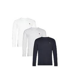 ANF MENS KNITS