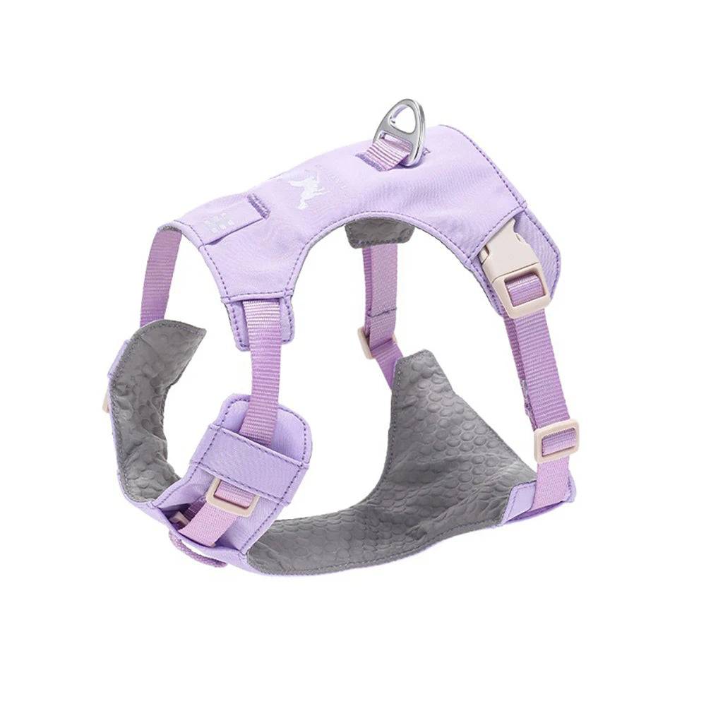 Anti-Pull Escape-Proof Dog Harness & Leash Set | Lightweight | XS–XL | 14 Colours - Purple / M (M)