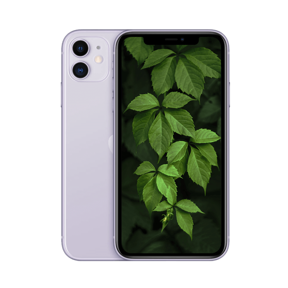 iPhone 11 Lila / 64GB / Bra skick