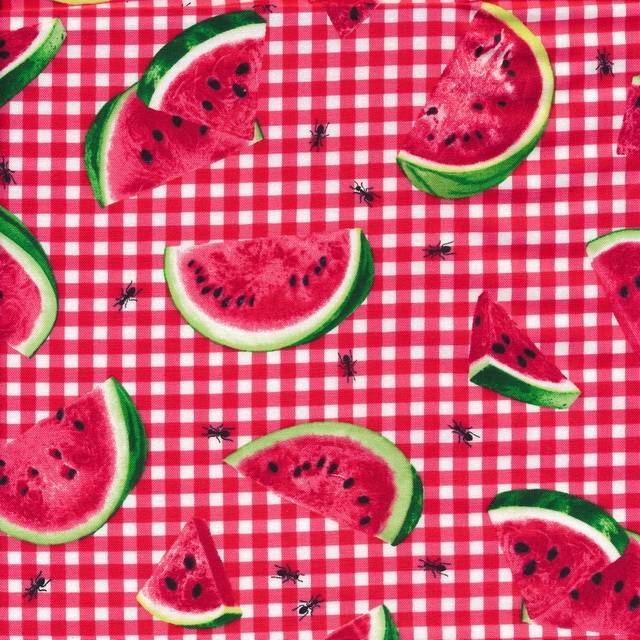 Afklip Patchwork stof ternet med vandmelon, 50x55 cm..