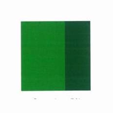 Amsterdam 618 Permanent green light - 500 ml
