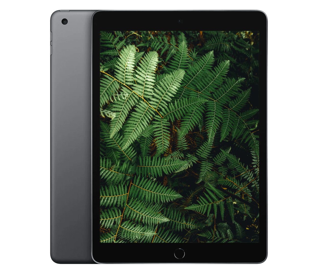 iPad 9 (2021) 10.2" WiFi / 4G
