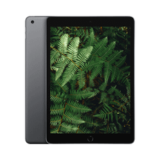 iPad 9 (2021) 10.2" WiFi / 4G