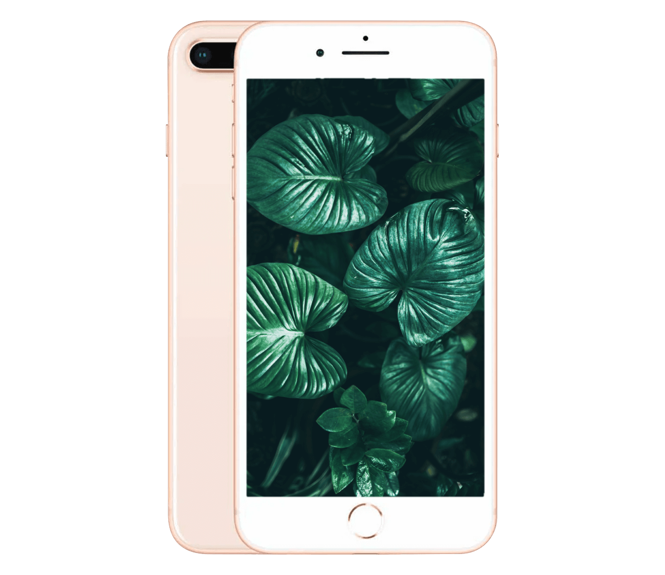 iPhone 8 Plus