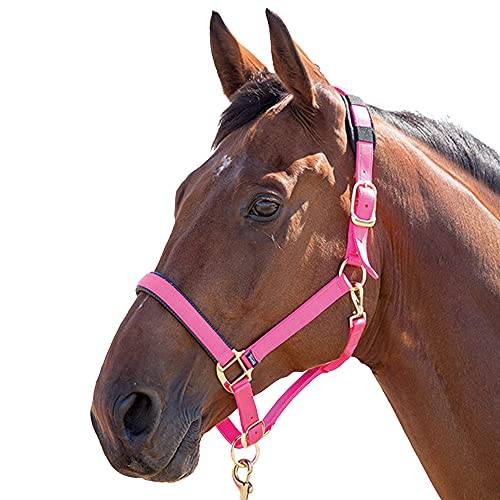 Shires Topas nylon ponny/häst huvudkrage – rosa kolv