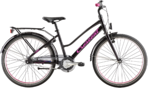 Crescent 24″ Lone