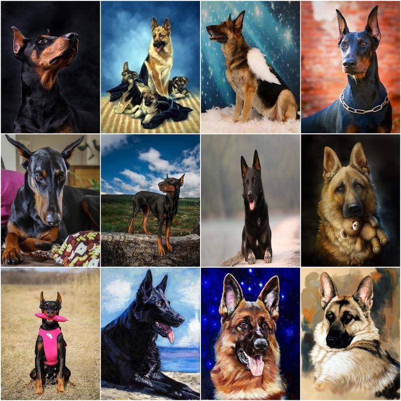 5D hel rund diamantmålning djur schäferhund broderi diamant mosaik korsstygn dekoration