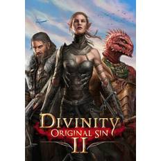 Divinity: Original Sin 2 – Divine Ascension (DLC) Gog.com Key GLOBAL