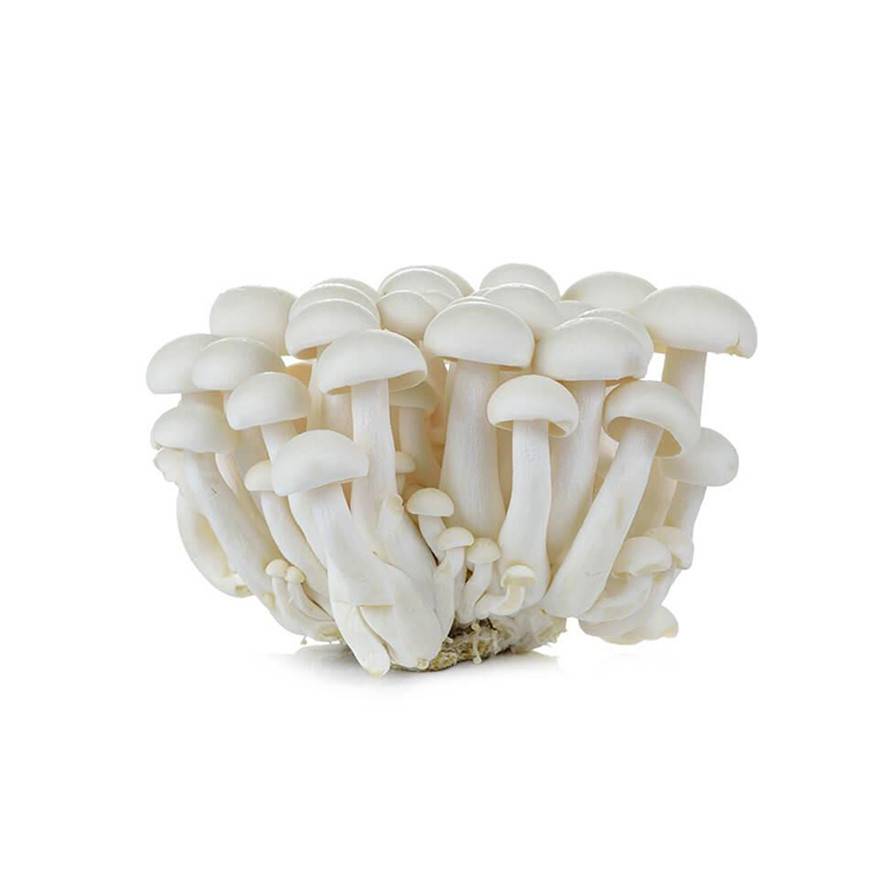 Shimeji Vit 150g Kina