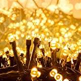 Quntis 10m 100 LED String Lights Utomhus Varmvit, String Lights Elektriskt manövrerad, 8 lägen Julbelysning Inomhus, IP44 Juldekoration för Julgran Trädgårdsbussar Balkong Terrass Rum Krans