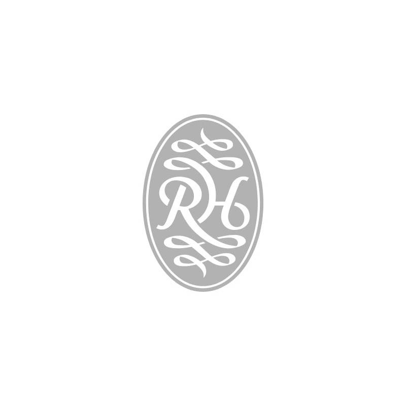 Russell Hobbs 26761 Brontë 2-Skivrostare Stone — varm guldaccentdesign